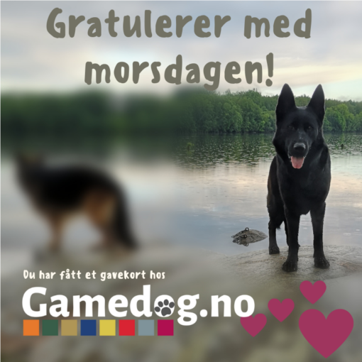 Gavekort Gamedog