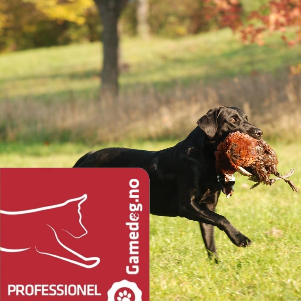 Gamedog Profesjonell